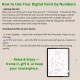 Monstera Beach Paint by Numbers for Adults, Tropical Color by Number Printable