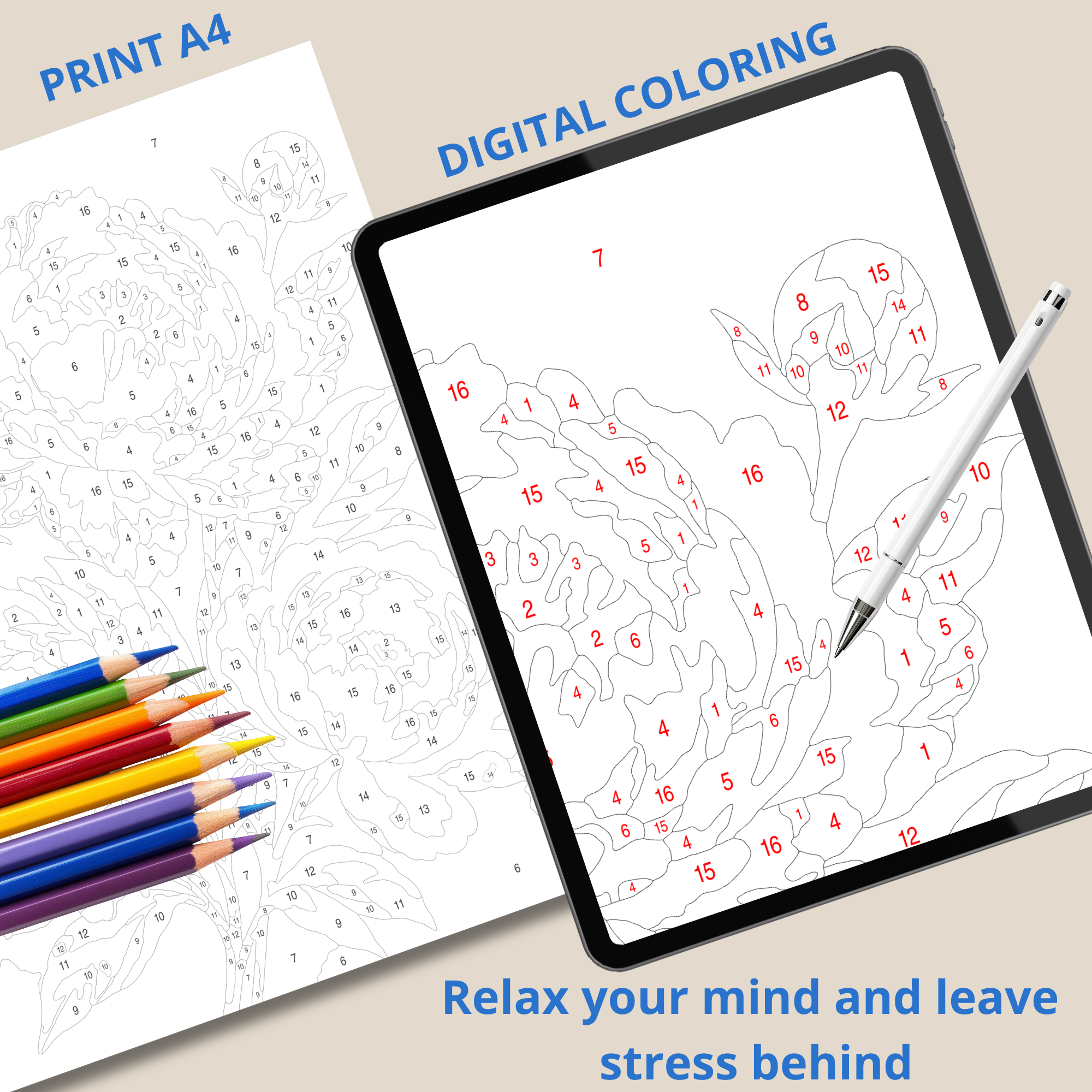 Digital paint by numbers design for printing or coloring on a tablet